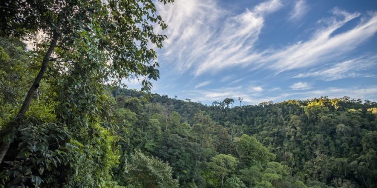 Autoridades de Izabal analizan amenazas de la variabilidad y cambio climático