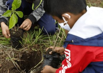 En el programa de reforestación participaron niños, jóvenes y adultos