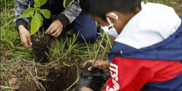 En el programa de reforestación participaron niños, jóvenes y adultos