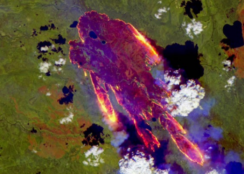 OMM confirma temperatura récord de 38 grados en el Ártico, medida en 2020