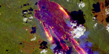 OMM confirma temperatura récord de 38 grados en el Ártico, medida en 2020