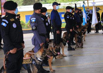 Elementos de la PNC culminan cursos de entrenamiento canino