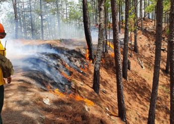 Hacen llamado a celebrar fiestas responsablemente evitando incendios forestales