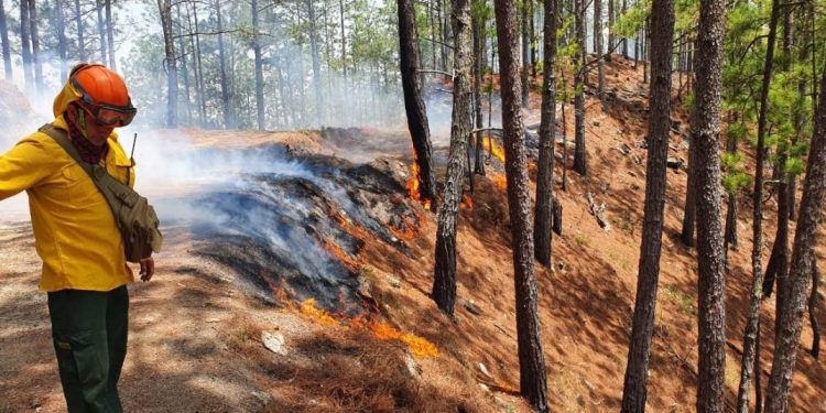 Hacen llamado a celebrar fiestas responsablemente evitando incendios forestales