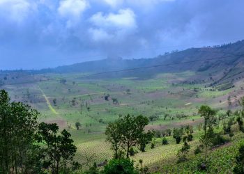 El MAGA mantiene monitoreos en cultivos ante la amenaza de heladas.