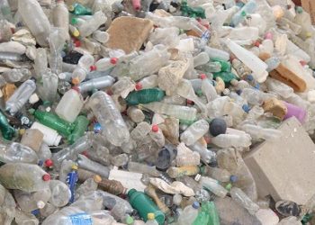 Ambiente fomenta manejo y recolección de desechos en río Las Vacas