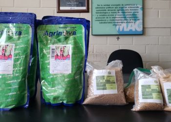 Dotación de semillas fortalecerá producción de alimentos en Suchitepéquez