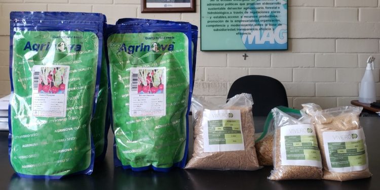 Dotación de semillas fortalecerá producción de alimentos en Suchitepéquez