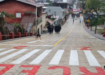 Inauguran mejoramiento de vía principal en Barillas, Huehuetenango