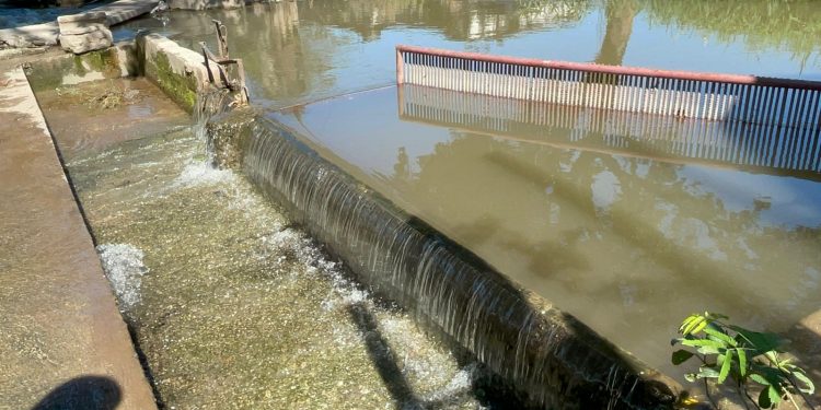 MAGA inaugura optimización de unidad de riego en San Jorge, Zacapa