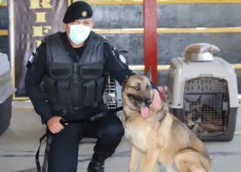 Rinden homenaje a 12 agentes K-9 que pasan a situación de retiro