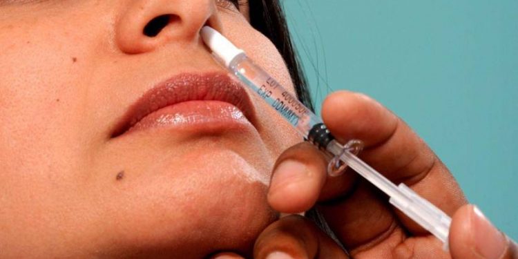 Científicos recodifican y atenúan coronavirus para crear vacuna intranasal