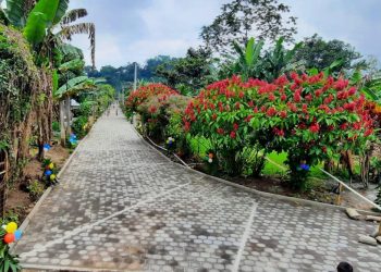 Optimización de caminos rurales reforzó el progreso de San Lucas Tolimán