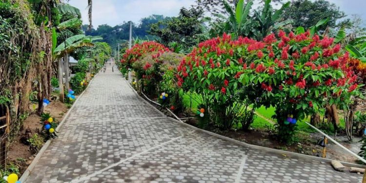 Optimización de caminos rurales reforzó el progreso de San Lucas Tolimán