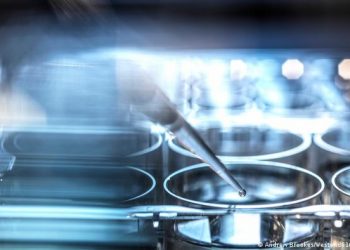 Japón prueba primer tratamiento de lesiones de médula espinal con células iPS