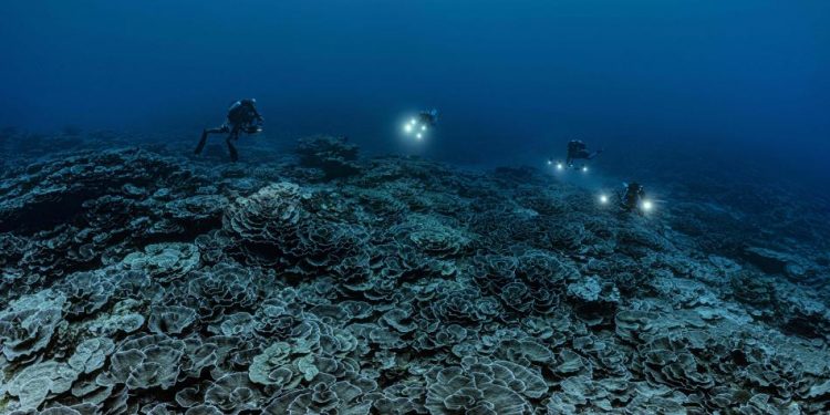 Descubren en Tahití uno de los arrecifes de coral más extensos del mundo