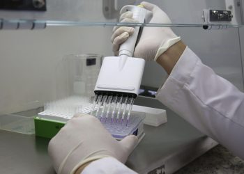 Científicos chinos crían peces sin espinas intramusculares