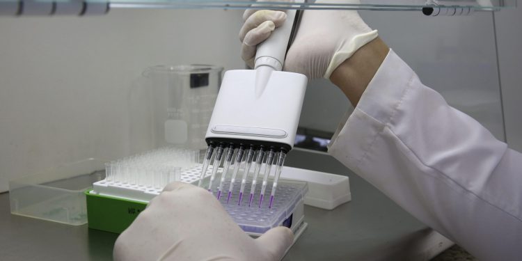 Científicos chinos crían peces sin espinas intramusculares