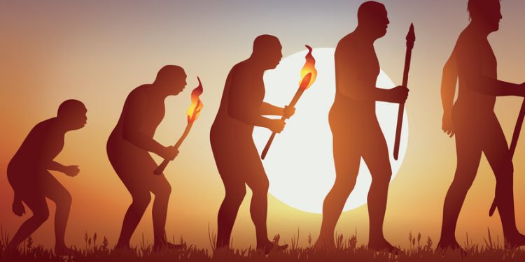 Crean una aplicación que reconstruye el pasado evolutivo de los humanos