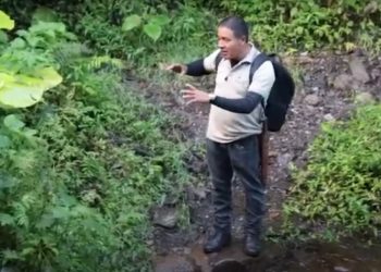 La educación ambiental debe promover el equilibrio entre el ser humano y la naturaleza.