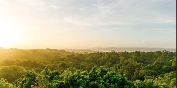 Las áreas protegidas más extensas se encuentran en la Reserva de la Biosfera Maya, en Petén.