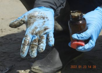 Repsol retira 9 mil metros cúbicos de arena afectada por crudo en Perú