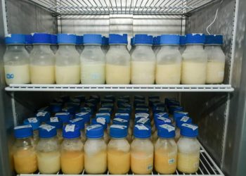 Los bancos de leche humana recolectaron en 2021 5 mil 668 litros de leche materna, con lo que beneficiaron a miles de recién nacidos en riesgo.