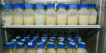 Los bancos de leche humana recolectaron en 2021 5 mil 668 litros de leche materna, con lo que beneficiaron a miles de recién nacidos en riesgo.