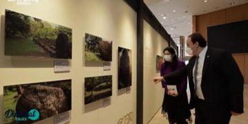 Presentadora de la televisora Arirang, de Corea, visita la exhibición fotográfica sobre Tak'alik Ab'aj, en el Museo de Historia de Seul.
