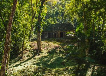 El Parque Nacional Sierra del Lacandón ocupa un lugar muy importante en la parte norte del corredor biológico mesoamericano.