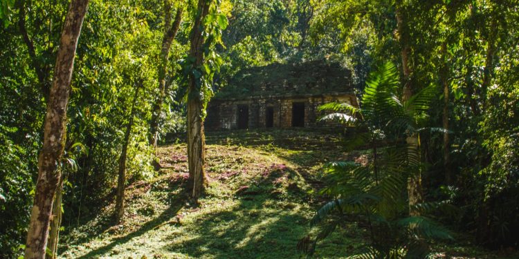 El Parque Nacional Sierra del Lacandón ocupa un lugar muy importante en la parte norte del corredor biológico mesoamericano.