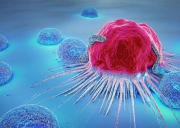 Descubren región desordenada de una proteína con capacidad oncogénica