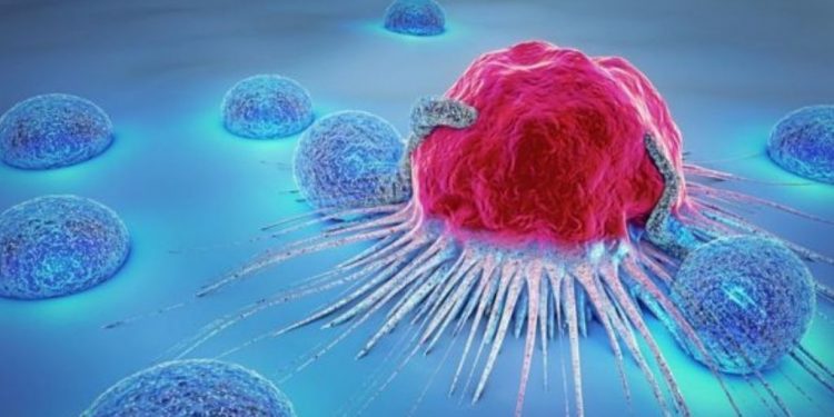 Descubren región desordenada de una proteína con capacidad oncogénica