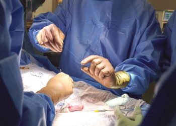 Logran trasplantar dos riñones de cerdo modificados genéticamente a un humano