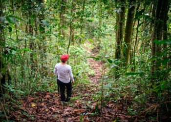Francia y Costa Rica inauguran bosque en busca de avanzar en sostenibilidad