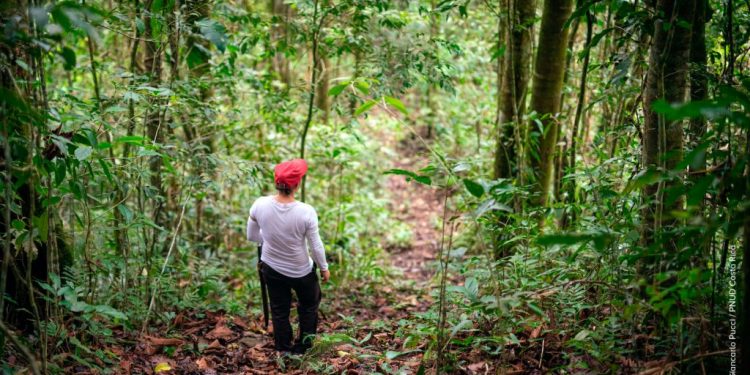 Francia y Costa Rica inauguran bosque en busca de avanzar en sostenibilidad