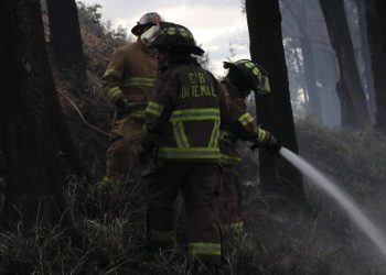 Bomberos forestales, durante los trabajos de control de un siniestro en bosque.