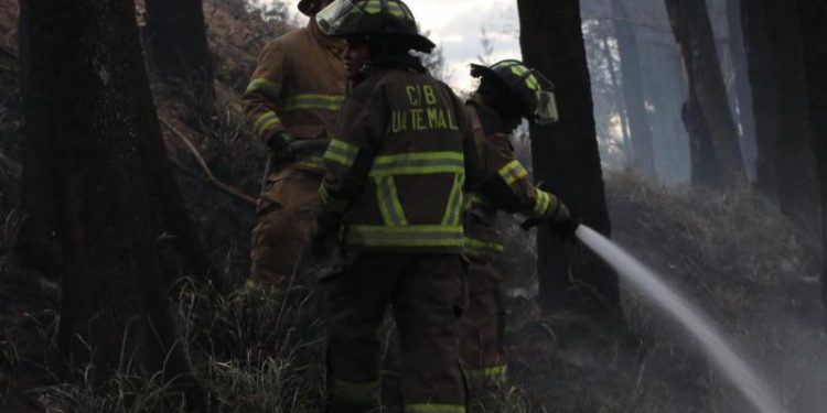Bomberos forestales, durante los trabajos de control de un siniestro en bosque.