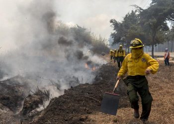 Bomberos forestales, durante el combate contra un siniestro.