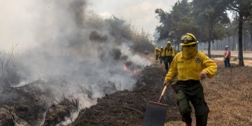 Bomberos forestales, durante el combate contra un siniestro.