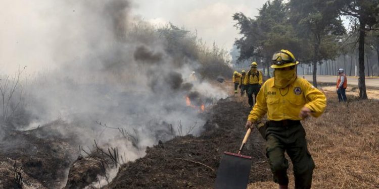 Bomberos forestales, durante el combate contra un siniestro.