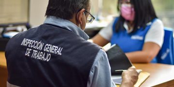 Las verificaciones serán efectuadas por profesionales de la Inspección General de Trabajo