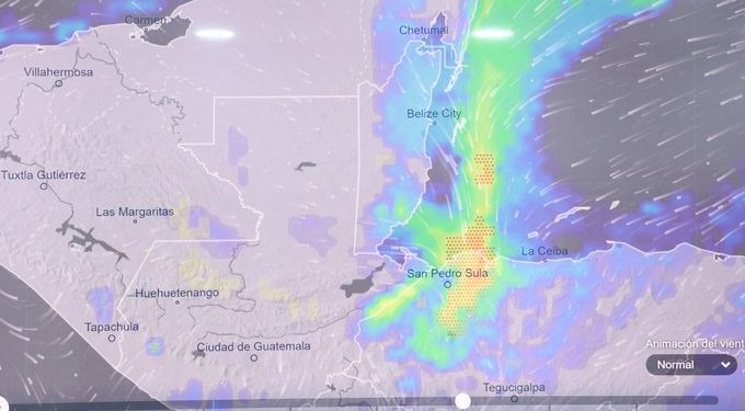 Lluvias en Izabal no ocasionaron daños en los cultivos, anuncia MAGA