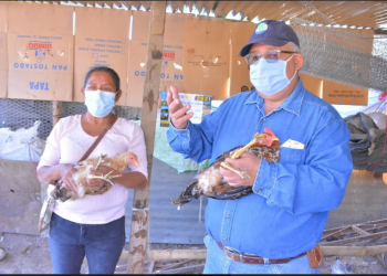 Amplían conocimientos de líderes comunitarios sobre crianza de aves
