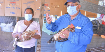 Amplían conocimientos de líderes comunitarios sobre crianza de aves