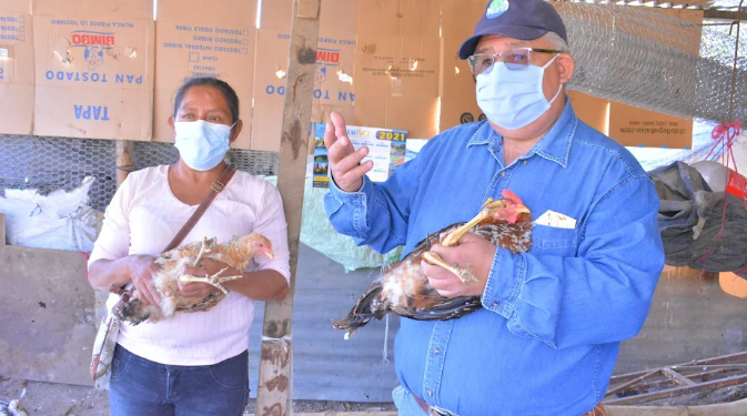 Amplían conocimientos de líderes comunitarios sobre crianza de aves