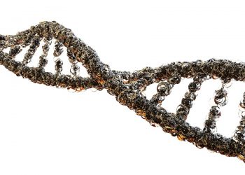 Diseñan una máquina impulsada por la luz que emula el movimiento celular