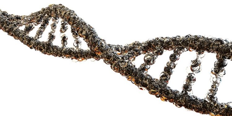 Diseñan una máquina impulsada por la luz que emula el movimiento celular