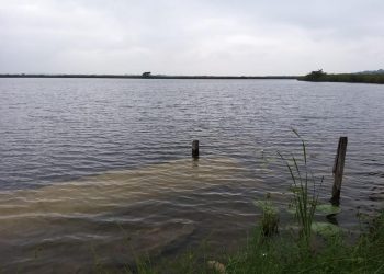 Continúan monitoreos en laguna El Tambo, Petén