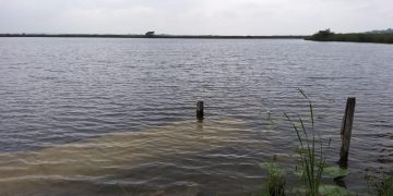 Continúan monitoreos en laguna El Tambo, Petén